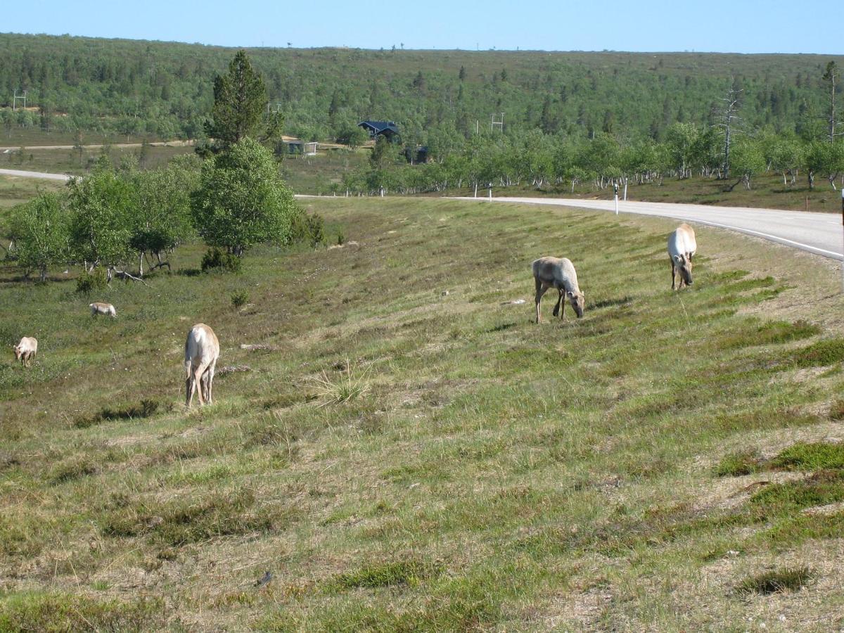 Saariselaen Marjamajat Apartment Sopuli Saariselkä Eksteriør billede